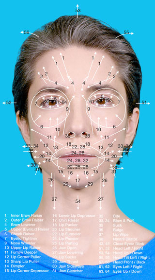 Coralie Vogelaar, <i>A research on emotion recognition software</i>, 2018, Courtesy: Coralie Vogelaar