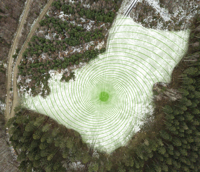 Blick auf die Ursprungsfläche von 'waldfuermorgen' am Stadtrand, Goslar im Januar 2020, Foto: Johannes Förster, © VG Bild-Kunst, Bonn 2021