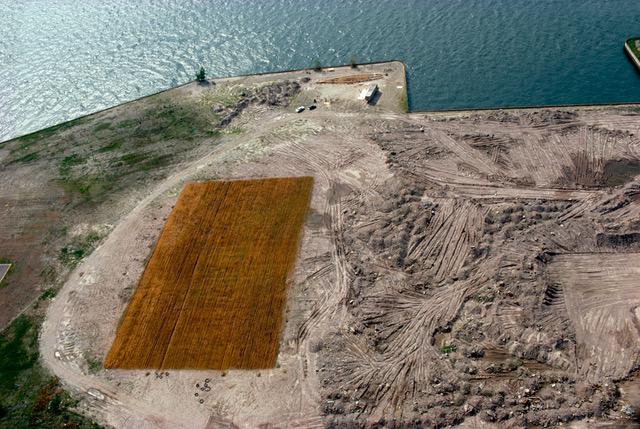 Agnes Denes, <i>Wheatfield – A Confrontation: Battery Park Landfill, Downtown Manhattan – Aerial View </i>, 1982, © Agnes Denes, Courtesy: Leslie Tonkonow Artworks + Projects, New York