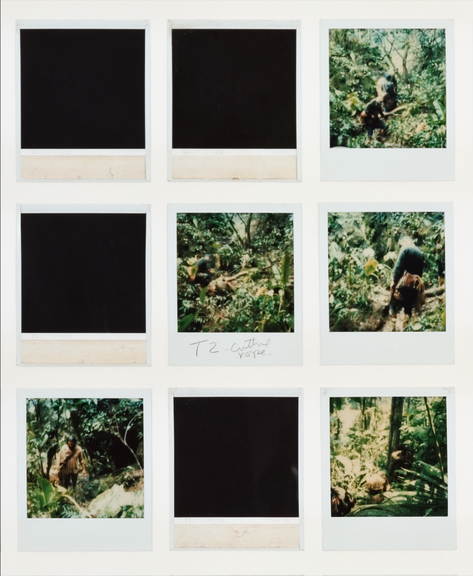 <i>In the instant of memory, everything was swirling and dissolving</i>, 2009, Detailansicht, 450 Polaroids