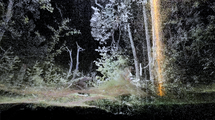 Rasa Smite/Raitis Smits <i>Atmospheric Forest</i>, VR-Installation, Still, 2020 Courtesy: Rasa Smite/Raitis Smits