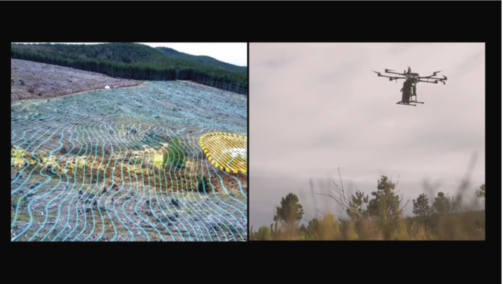 Abelardo Gil-Fournier/Jussi Parikka <i>Seed, Image, Ground</i> (2020), Video Still, Courtesy: Abelardo Gil-Fournier, Jussi Parikka