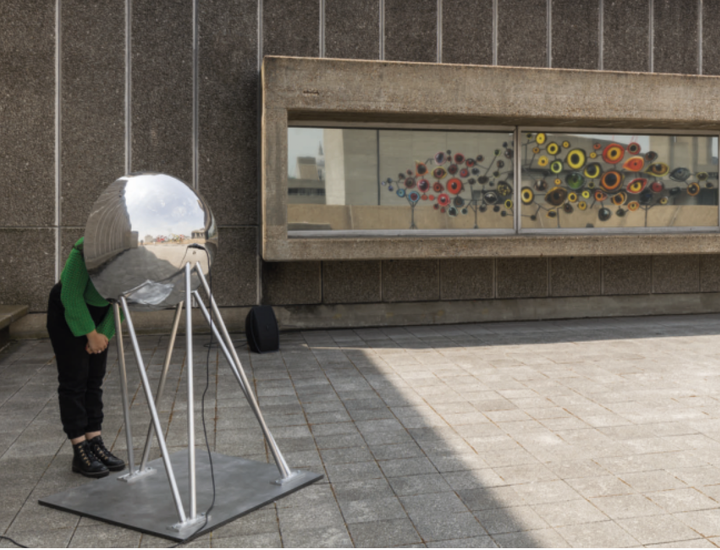 Jenny Kendler <i>Birds Watching</i>, Installation, 2023, Ausstellungsansicht, Hayward Gallery, London, 2023, Foto: Mark Blower, Courtesy: HaywardGallery, London