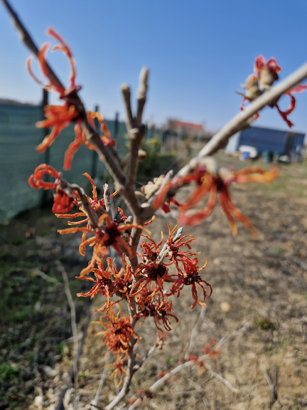 Adrian Ganea, <i>Food for Birds</i>, erste künstlerische Intervention auf dem Feld, auf dem die Station errichtet wurde, Dezember 2021; realisiert im Rahmen des Projekts „The Last Archive“, kuratiert von tranzit.ro/București und dem Künstler Vlad Basalici