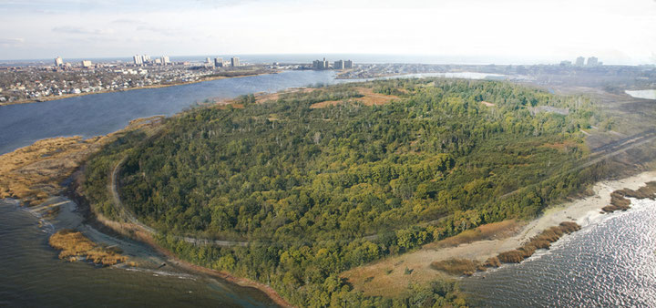 Agnes Denes, <i>A Forest for New York – A Peace Park for Mind and Soul</i>, A Project for the Edgemere Landfill, Queens, New York, Renderings, 2014, © Agnes Denes, Courtesy: Leslie Tonkonow Artworks + Projects, New York