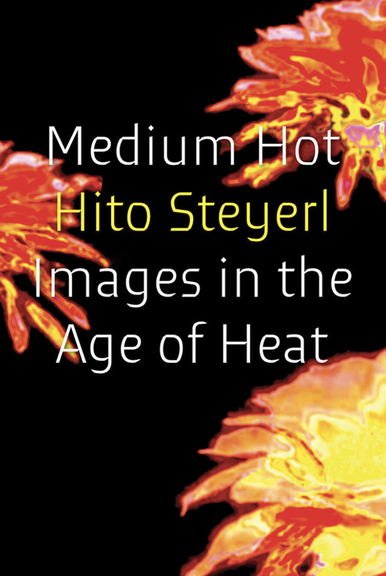 Hito Steyerl: <i>Medium Hot</i>