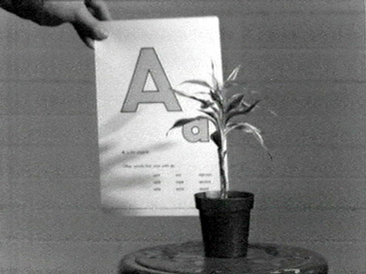 John Baldessari <i>Teaching a Plant the Alphabet</i>, 1972 Courtesy: John Baldessari