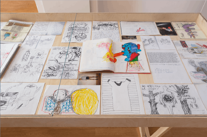 Rudolf Weidenauer, <i>CIRCUMSTANZA</i>, Ausstellungsansicht,  FOX, 2017, Foto: Stefan Lux