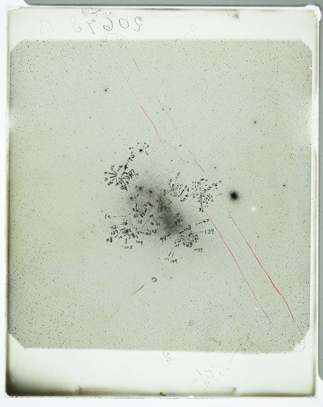 Henrietta Swan Leavitt, photographic plate, presumably used and labeled for the exploration of the Small Magellanic Cloud, Courtesy: B20678, Astronomical Photographic Glass Plate Collection, Harvard College Observatory.