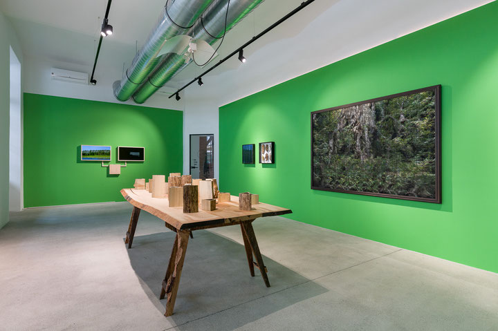 Andreas Greiner, <i>Jungle Memory</i>, Ausstellungsansicht, Kahan Art Space Wien, Foto: Manuel Carreon Lopez