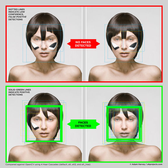 Adam Harvey, <i>CV Dazzle Look #1 – Camouflage from Face Detection</i>, 2010